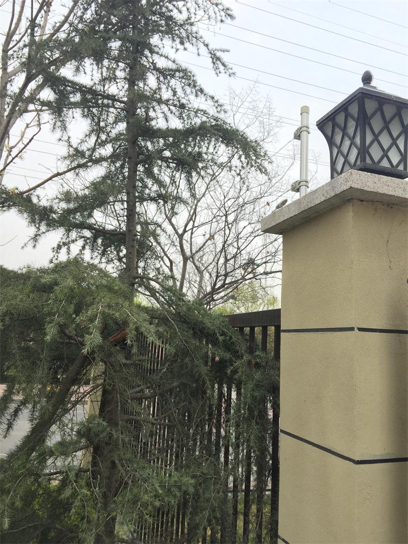 【綠色智慧住區】魯商中心掠影(圖11)