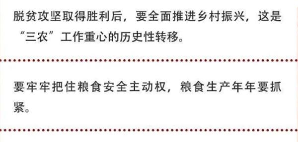 2020年中央農村工作會(huì )議精神速覽！(圖2)